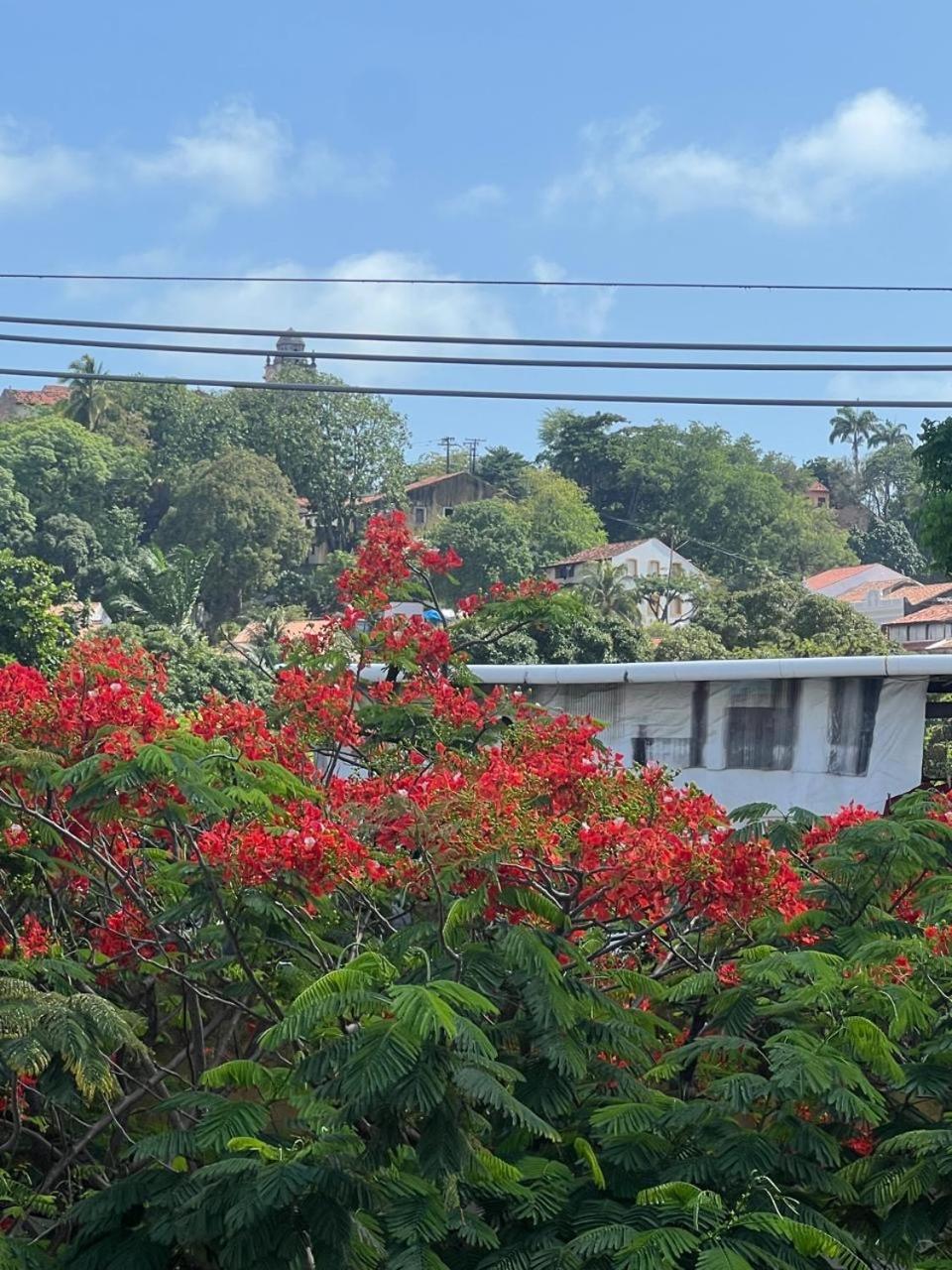 Pousada Do Leo Olinda Exterior photo